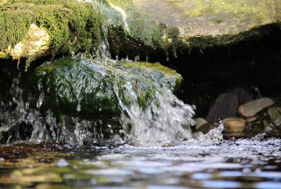 Natur 2 Wasser fließt über moosbedeckte Steine in einem klaren Bach.